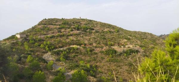 Terreno en Urbanización la Malla, 214