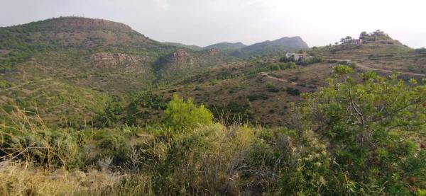 Terreno en Urbanización la Malla, 214