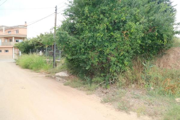 Terreno en Albalat Dels Tarongers