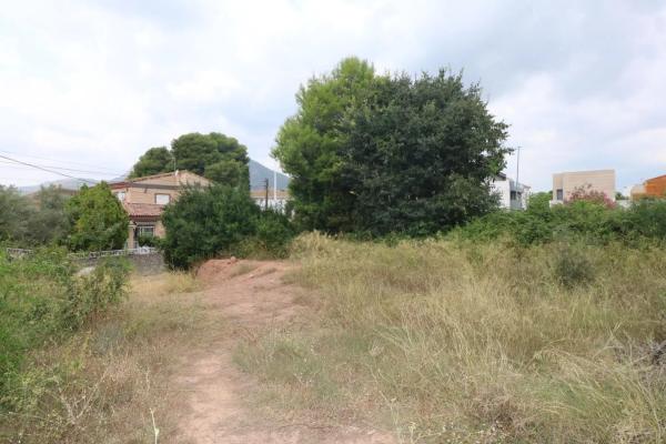 Terreno en Albalat Dels Tarongers
