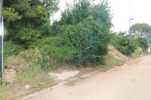 Terreno en Albalat Dels Tarongers