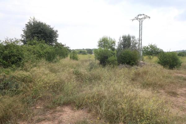 Terreno en Albalat Dels Tarongers