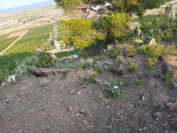 Terreno en Los Monasterios - El Picayo - Urbanizaciones