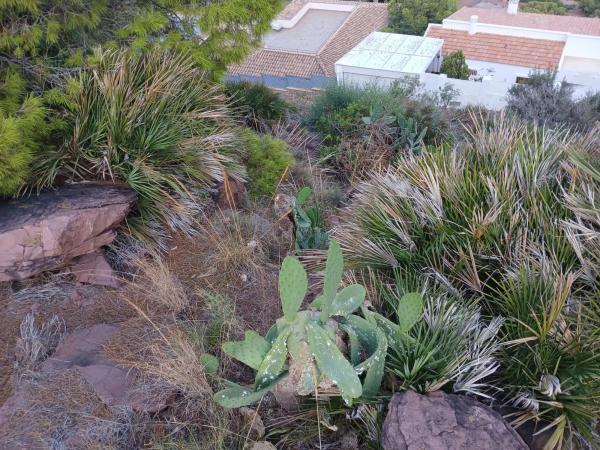 Terreno en Los Monasterios - El Picayo - Urbanizaciones