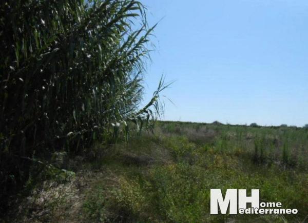 Terreno en Doctor Palos - Alto Palancia