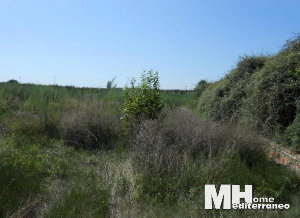 Terreno en Doctor Palos - Alto Palancia