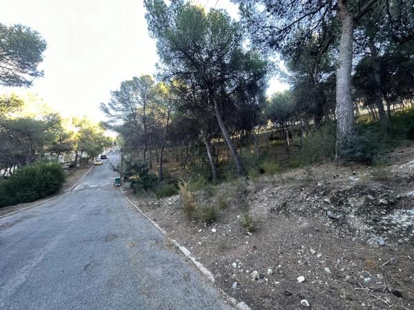 Terreno en Torres-Torres