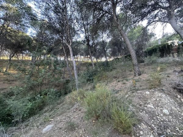 Terreno en Torres-Torres