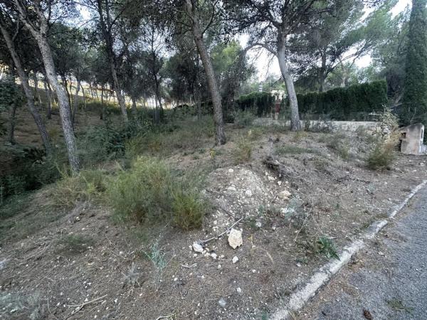 Terreno en Torres-Torres