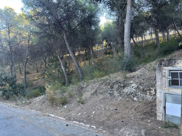 Terreno en Torres-Torres