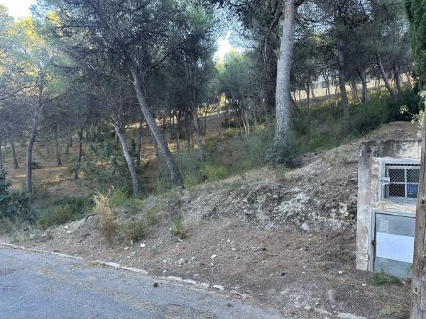 Terreno en Torres-Torres