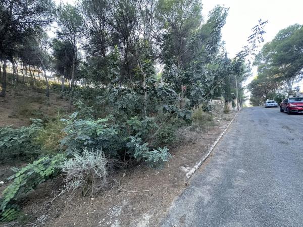 Terreno en Torres-Torres