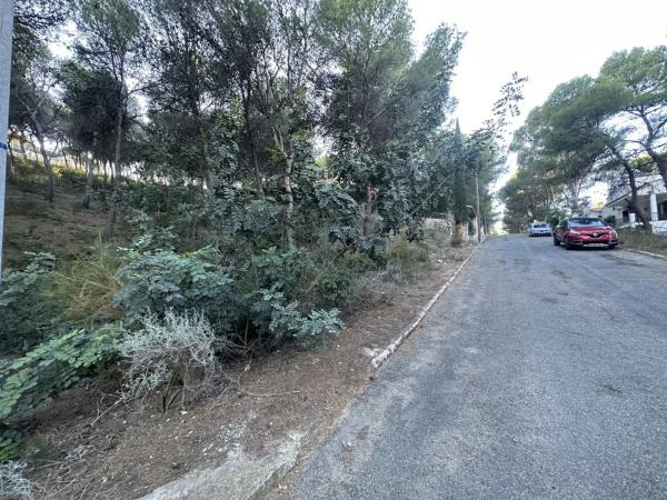 Terreno en Torres-Torres