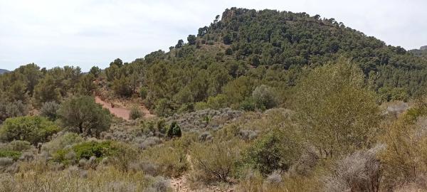 Terreno en montaña redona, 2
