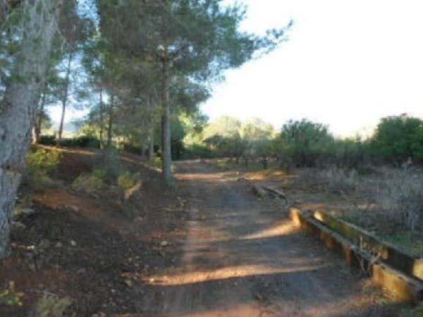 Terreno en Cv-310