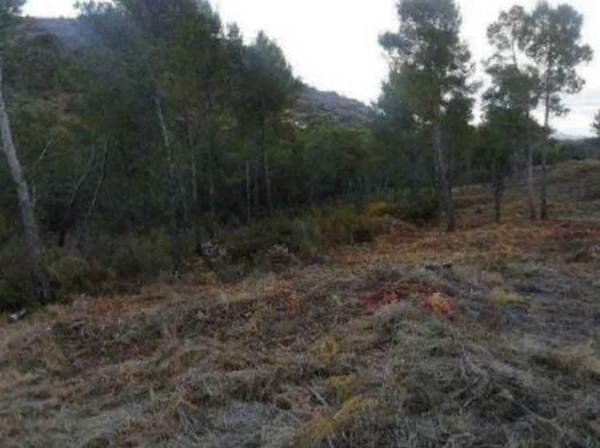 Terreno en Cv-310
