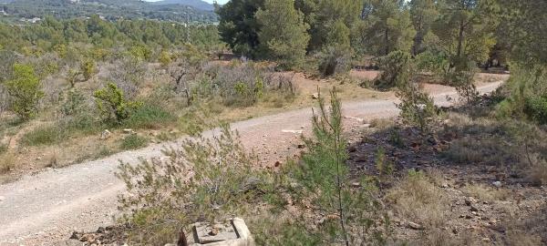 Terreno en plaza Poligono 1, 94