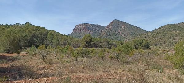 Terreno en plaza Poligono 1, 94