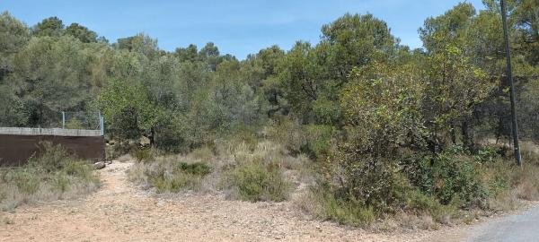 Terreno en plaza Poligono 1, 94