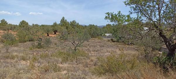 Terreno en plaza Poligono 1, 94