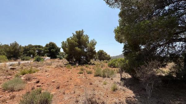 Terreno en plaza del Cronista Chabret