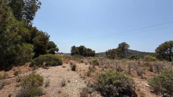 Terreno en plaza del Cronista Chabret