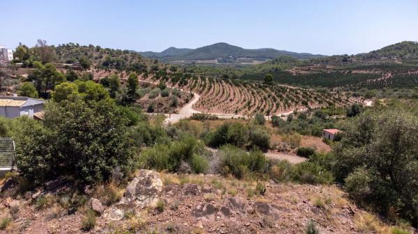 Terreno en Torres-Torres