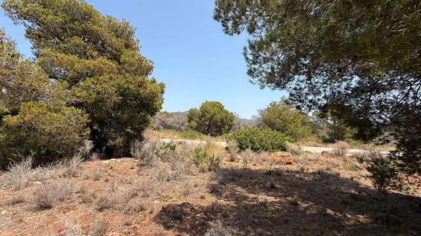 Terreno en plaza del Cronista Chabret