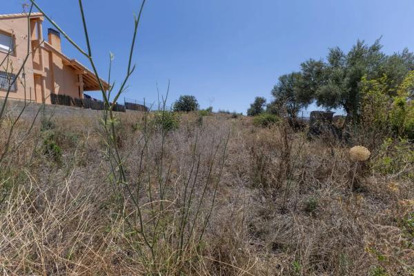 Terreno en Torres-Torres