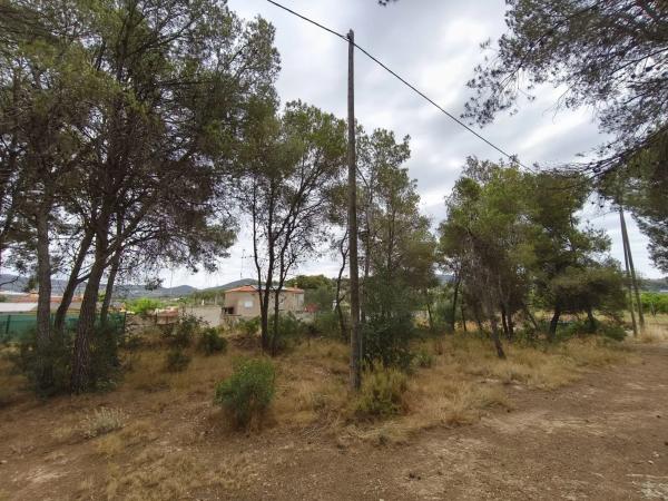 Terreno en camino de Petrés