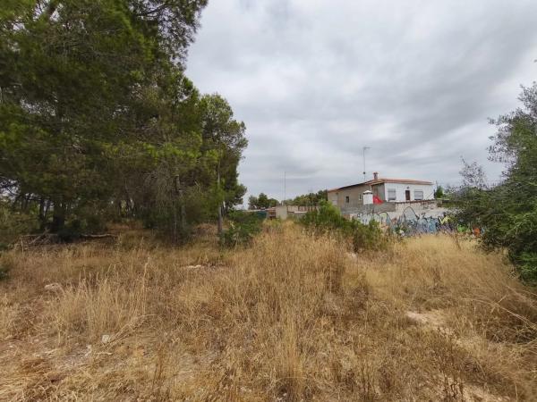 Terreno en camino de Petrés