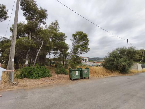 Terreno en camino de Petrés