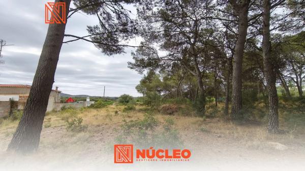 Terreno en camino de Petrés