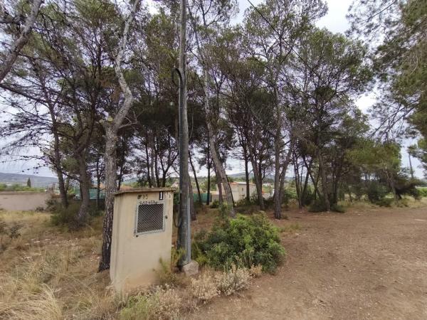 Terreno en camino de Petrés