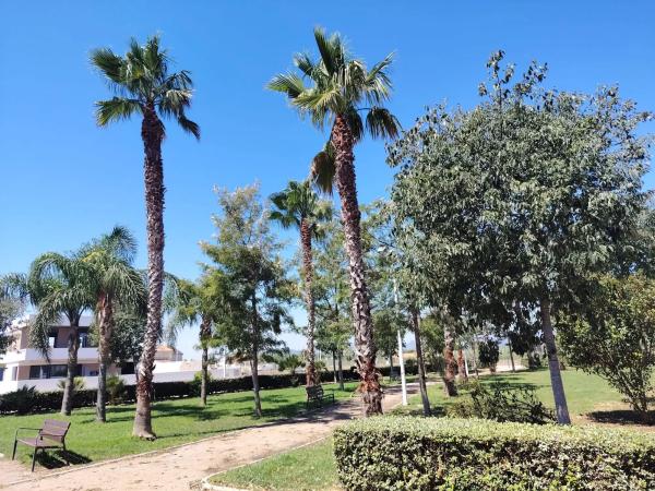 Terreno en calle Picanya, 18