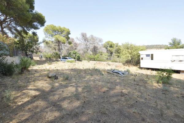 Terreno en Partida Pla de Pavia