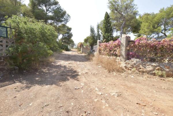 Terreno en Partida Pla de Pavia