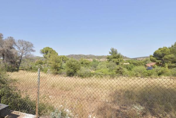 Terreno en Partida Pla de Pavia