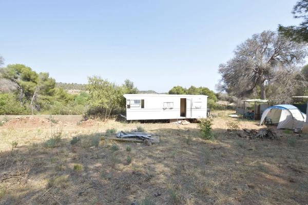 Terreno en Partida Pla de Pavia