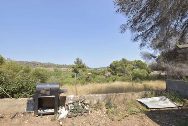 Terreno en Partida Pla de Pavia