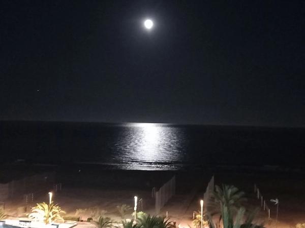 Terreno en calle sagasta, 18