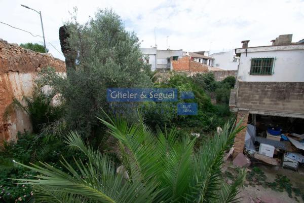 Terreno en Estivella