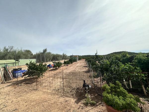 Terreno en Torres-Torres