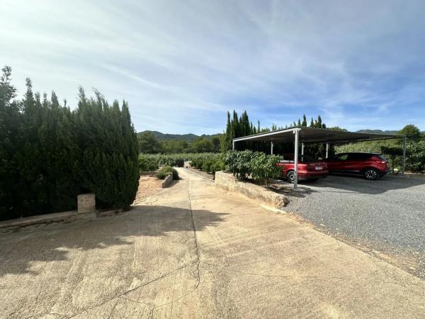 Terreno en Torres-Torres