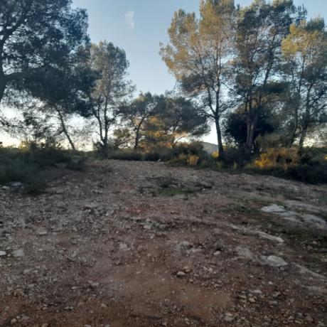 Terreno en plaza Diseminados, km 3