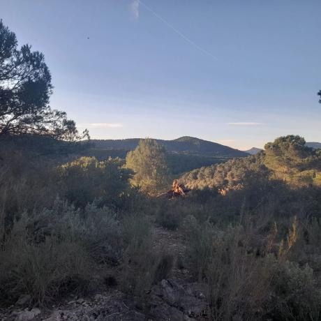 Terreno en plaza Diseminados, km 3