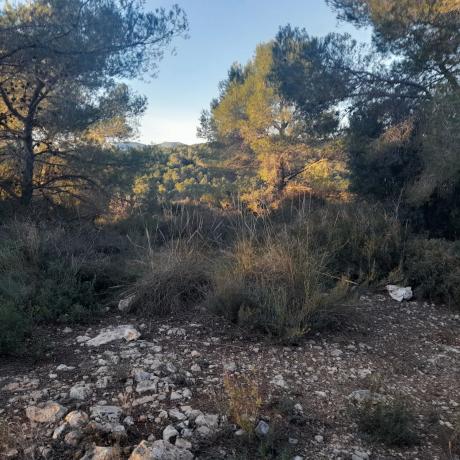 Terreno en plaza Diseminados, km 3