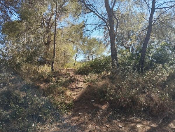 Terreno en plaza Diseminados, km 3