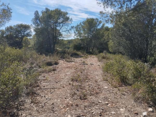 Terreno en plaza Diseminados, km 3