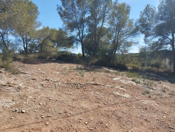 Terreno en plaza Diseminados, km 3